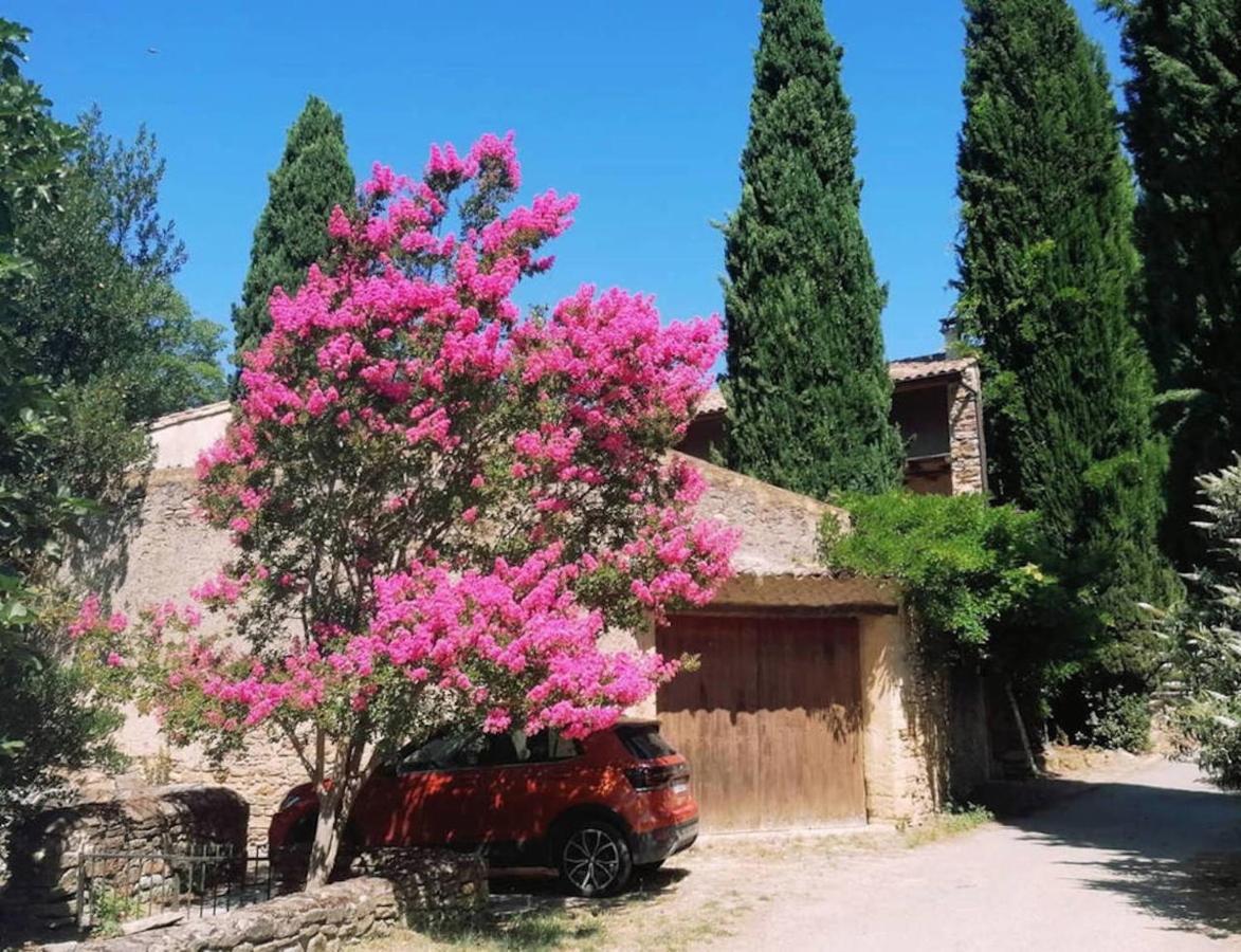 Maison 1643 Laudun Buitenkant foto